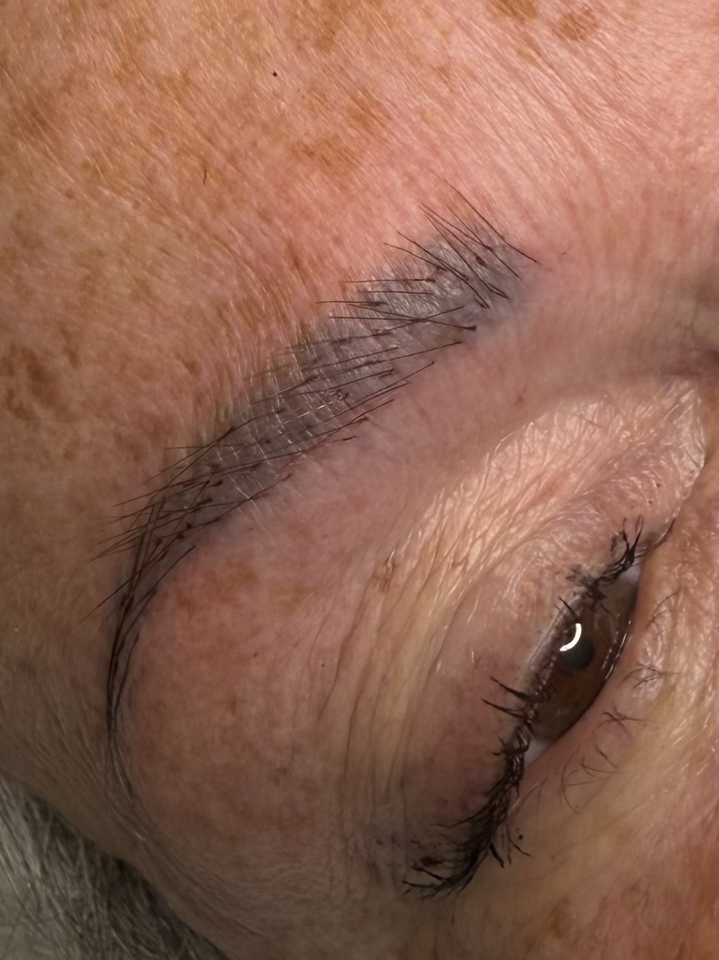Close-up Fibre Brows full brow creation result